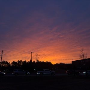 Meet your Posher, Alyxzandria